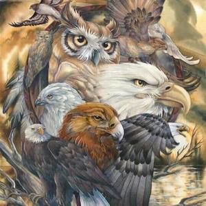 Meet your Posher, Lonnie